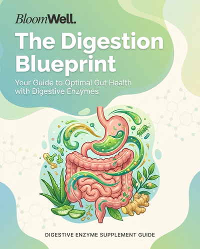The Digestion Blueprint: A Science-Backed Guide to Ending Bloating, Absorbing More, and Feeling Good After Every Meal